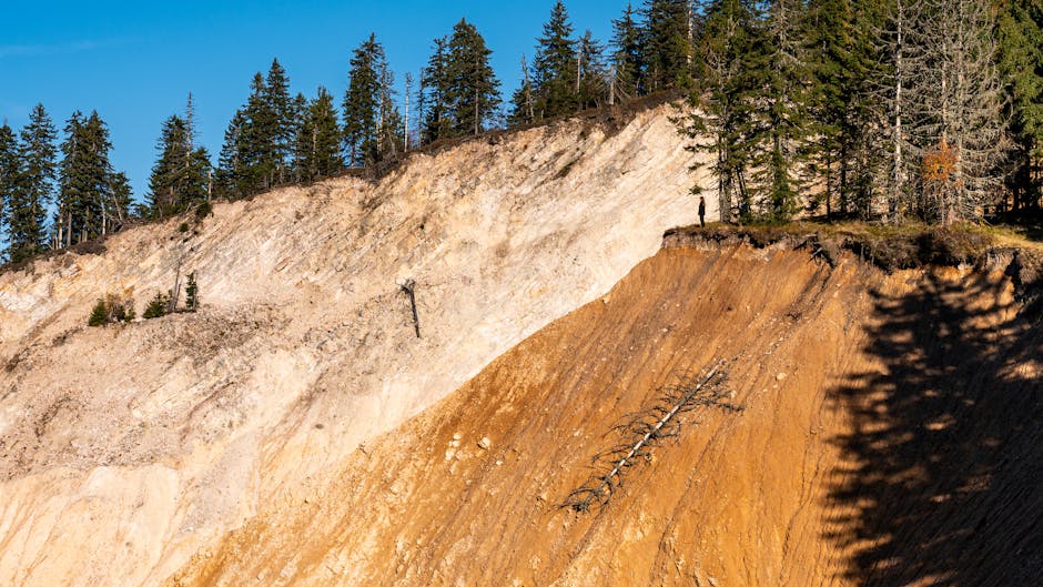 Alaska Tsunami Surges to 481 Meters After Mega-Landslide