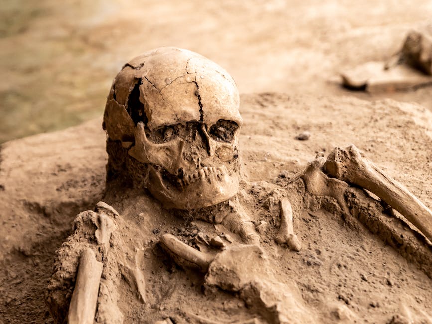 Ancient Fossil Shifts Human Intelligence Timeline by 300,000 Years