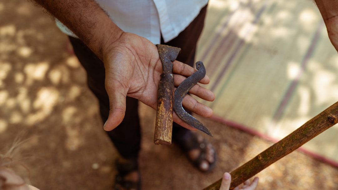 Ancient Humans Used Wooden Tools 430,000 Years Ago - VirentaNews