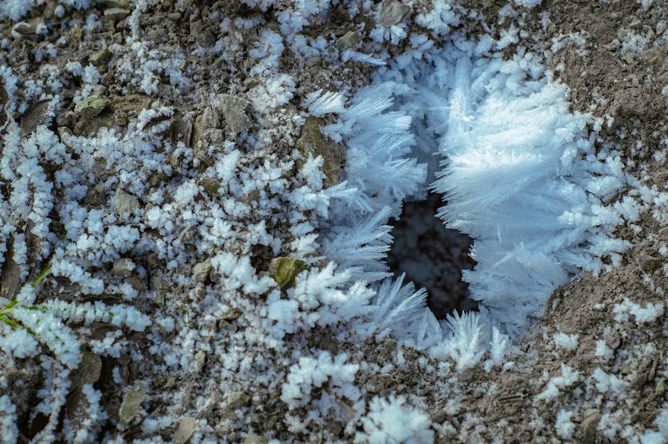 Arctic Fires Emit 1,000 Years of Trapped Carbon Daily