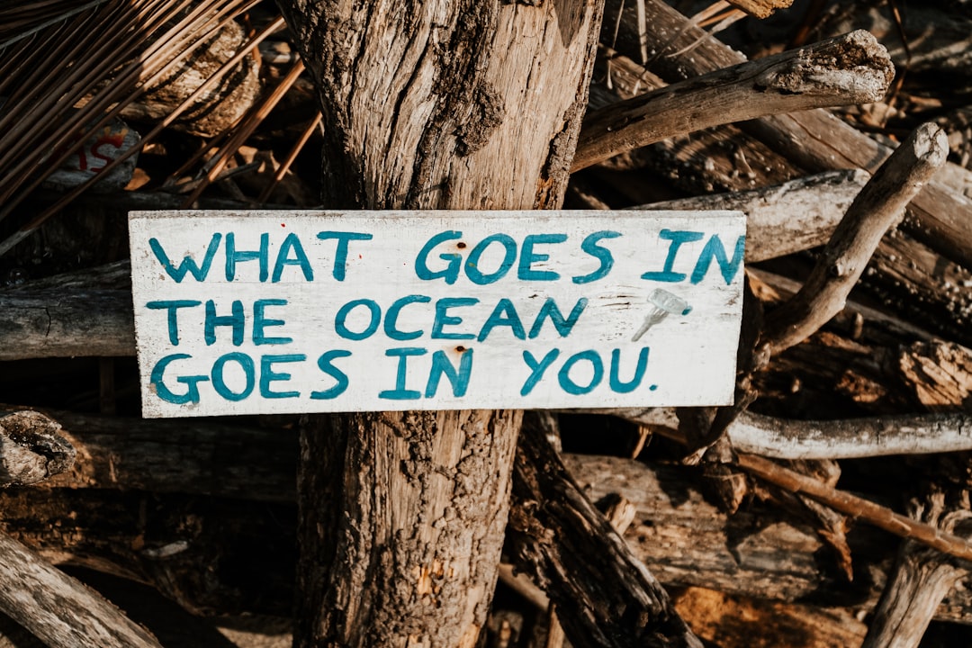 BBC Reveals Surging Ocean Conservation Efforts in 2026 - VirentaNews