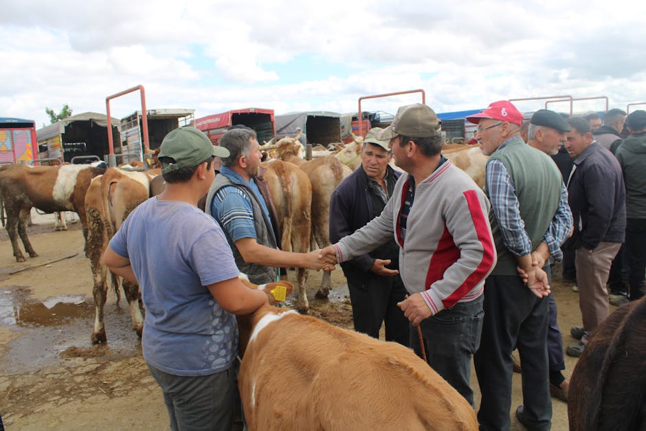 Beef Consumption Hits 20-Year Low in Argentina