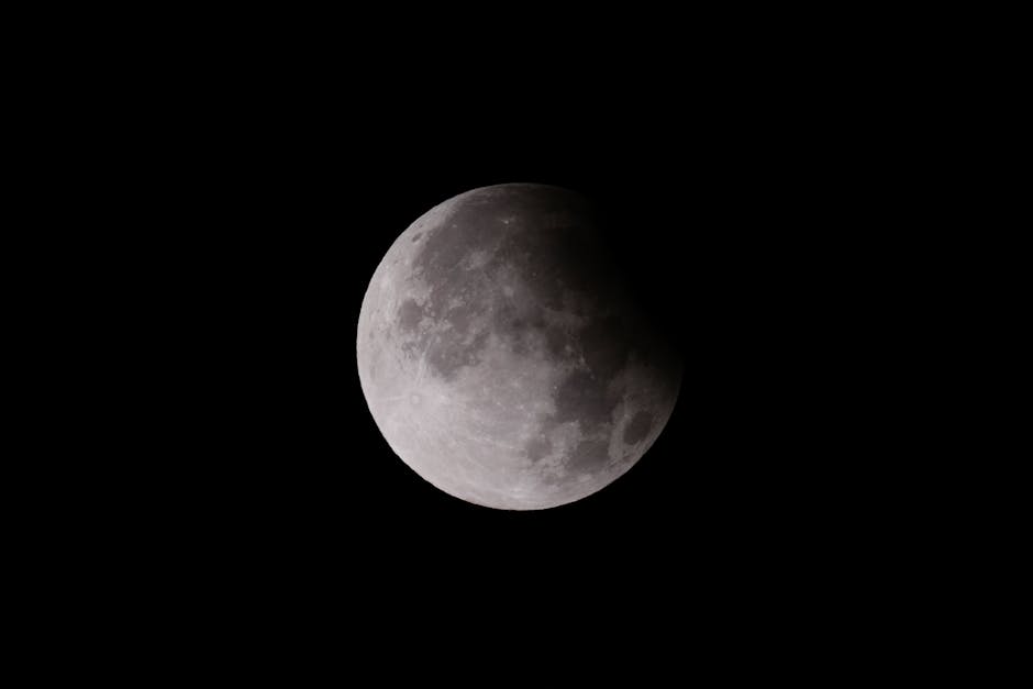 Blue Micromoon Surges in Popularity as Rare Event