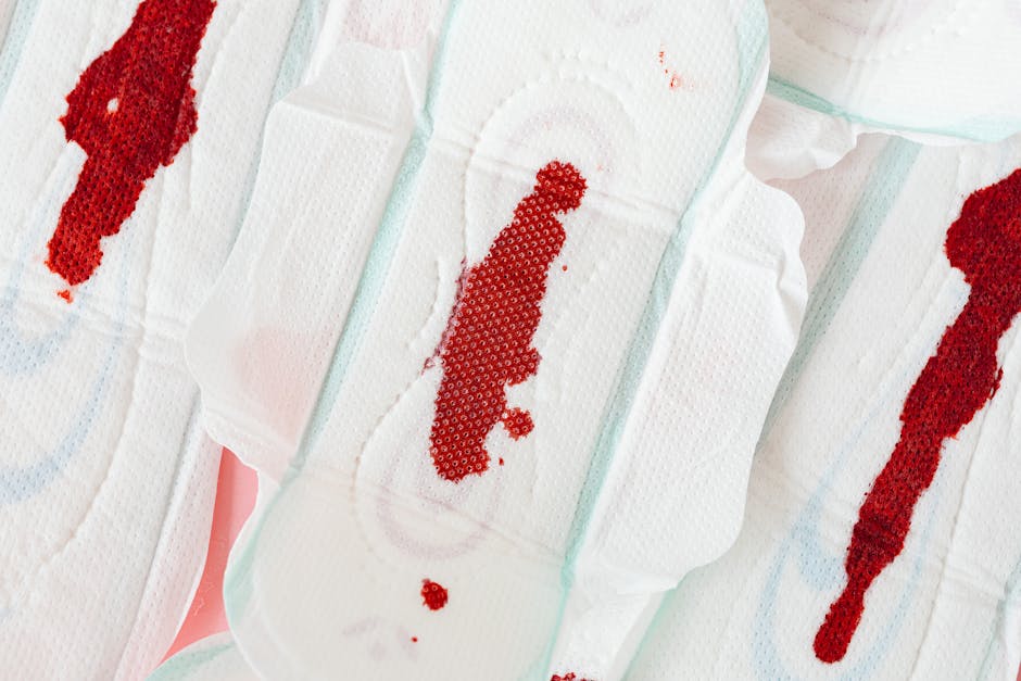 Breakthrough Organoid Menstruation Study Reveals Tissue Repair Secrets
