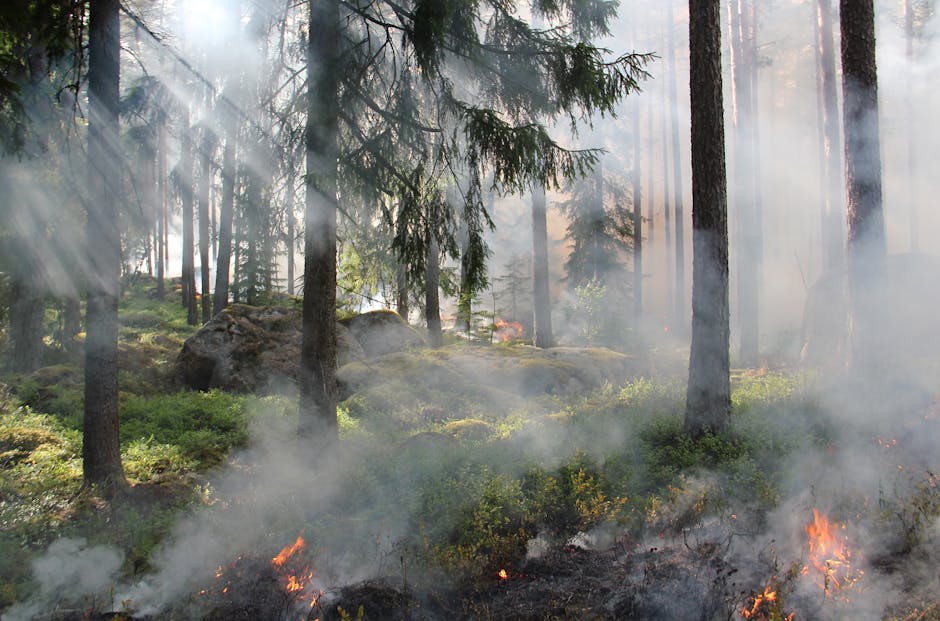 Chernobyl Exclusion Zone Fire Surges After Drone Crash