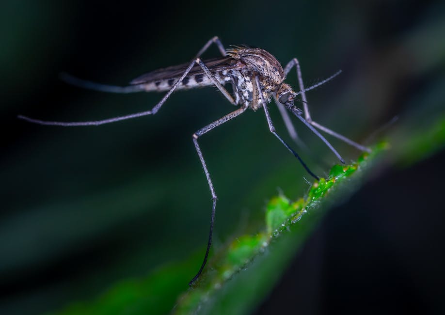 Climate Change Surges Bring New Disease Threats to Canada