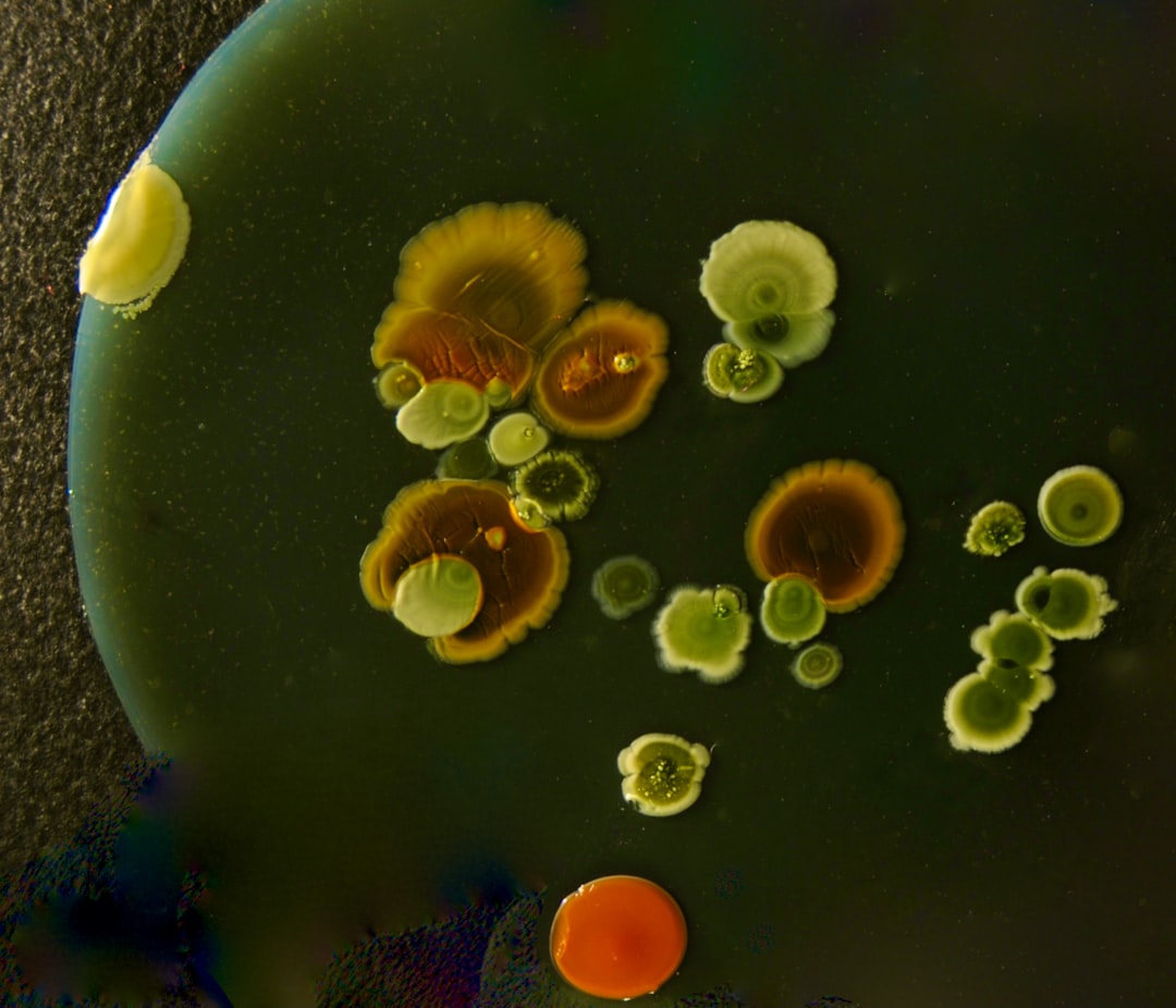 Climate Crisis Fuels 10% Rise in Antibiotic Resistance - VirentaNews