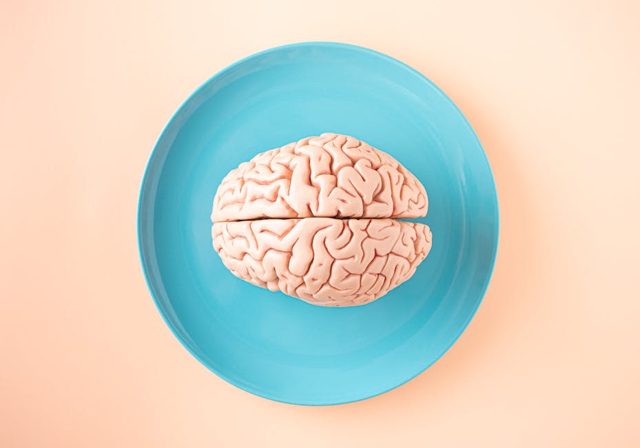 Creatine Boosts Brain Power by 20% in New Study