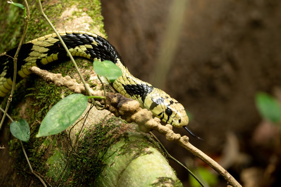 Ecuadorian Farmer's Rare Snake Collection Surges to Prominence - VirentaNews
