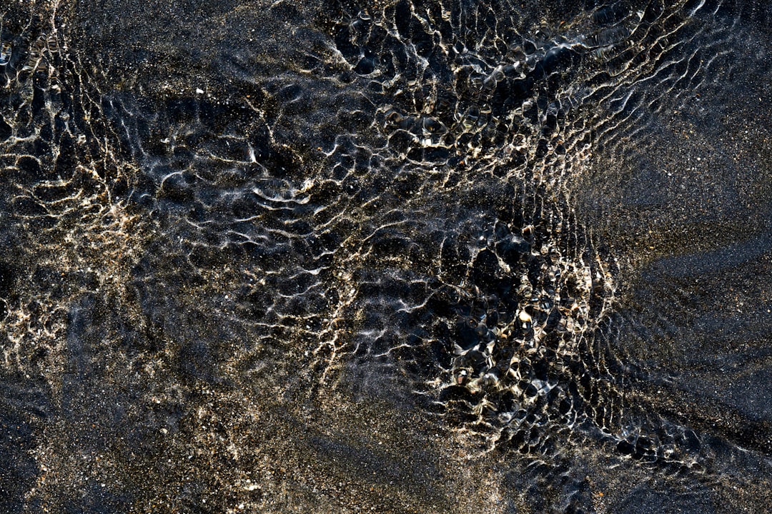 End-Cretaceous Marine Extinction Driven by Darkness and Body Size, Study Reveals - VirentaNews