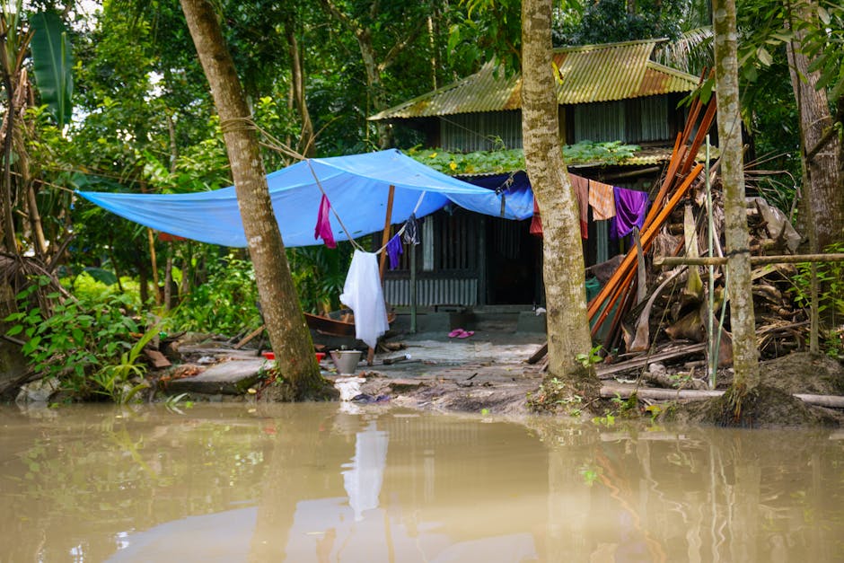 Experts Urge WHO to Declare Climate Crisis a Global Public Health Emergency