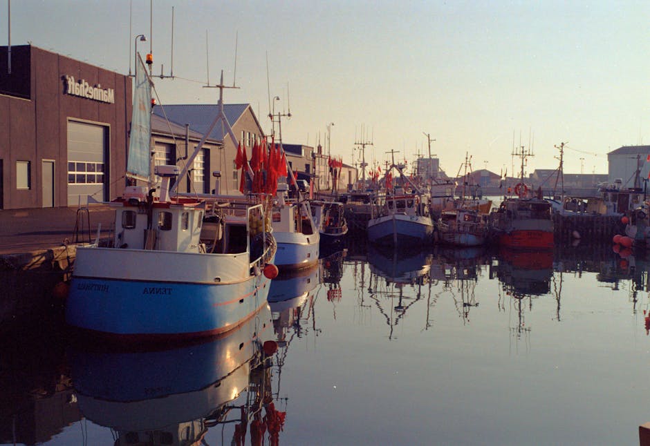 Fishing Industry Surges as Trump Relaxes Red Snapper Rules