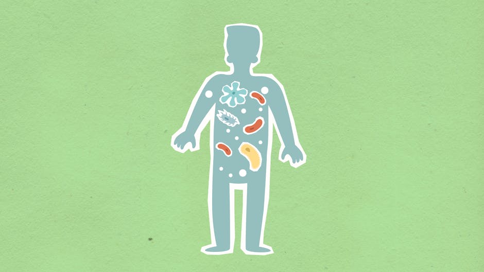 Gut Microbiome Surges as Key to Emotional Health