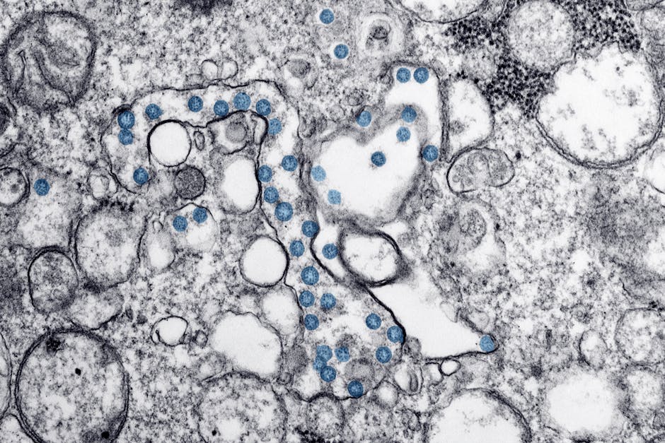Hantavirus Outbreak: How Two Britons Are Recovering After Ship Evacuation