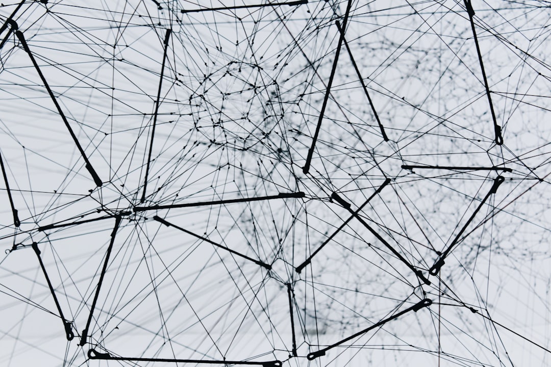 Hippocampal Circuit Reveals How the Brain Transforms Sparse Memories into Dense Codes - VirentaNews