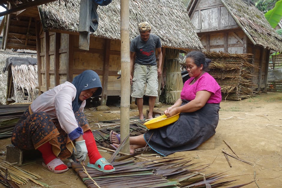 How a Climate Migration Model Became a Cautionary Tale
