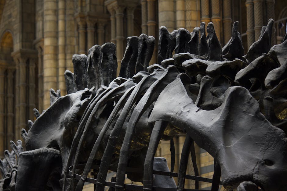How a Fossil Find Changes Dinosaur History
