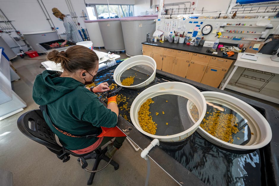 How a Green Mineral Could Fight Ocean Acidification