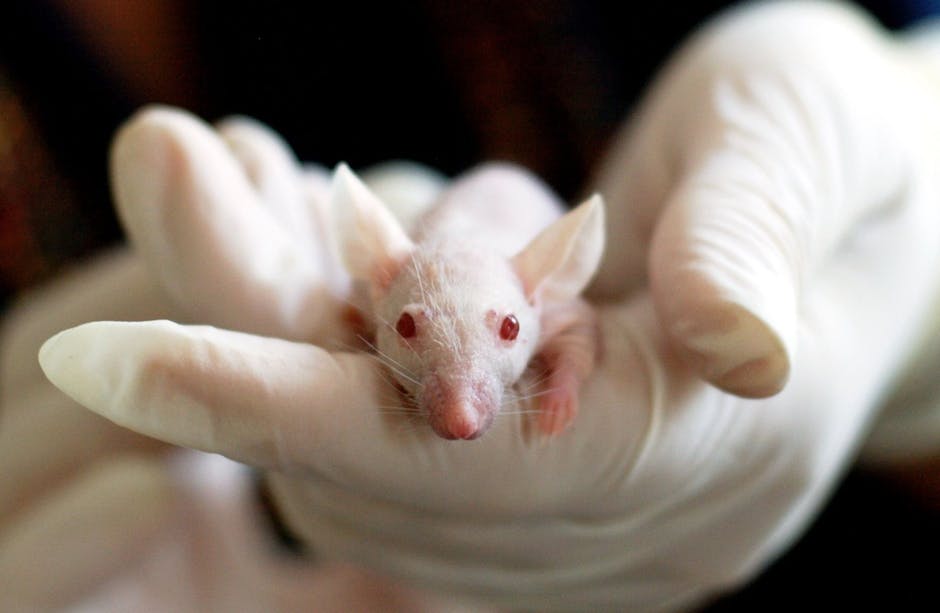 How a New Mouse Model Could Unlock Treatments for Rare Genetic Disease