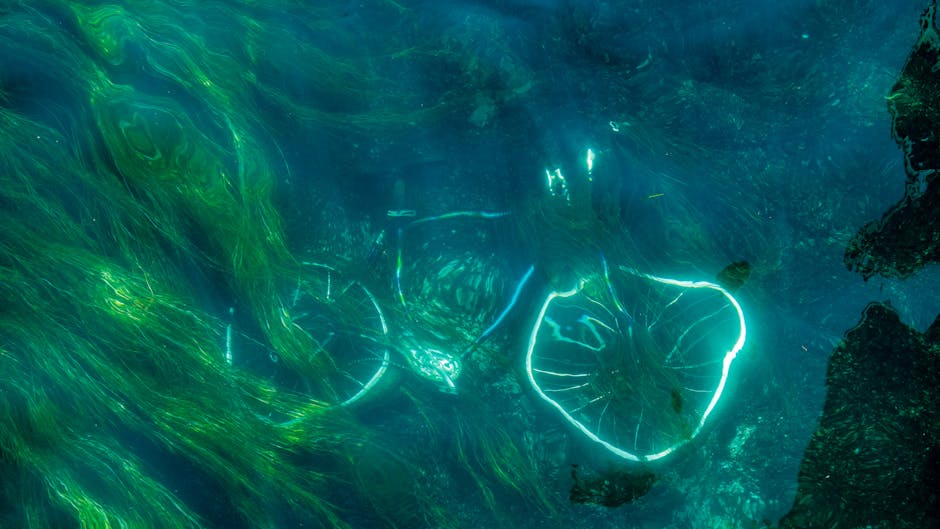 How Algae’s Glow Revolutionizes 3D Printing