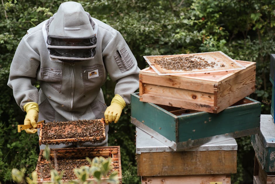 How Beekeeping Helped a Teenager Cope