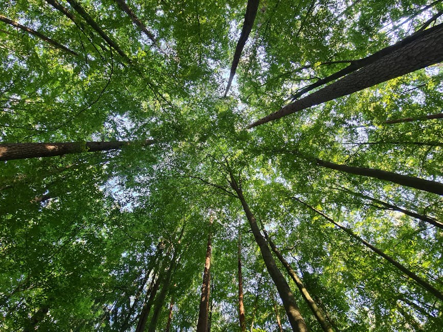 How Cleaner Air Threatens a Vital Ocean Current