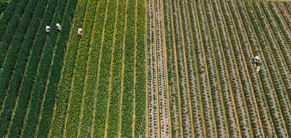 How Farming and Science Share the Same Uncertainties