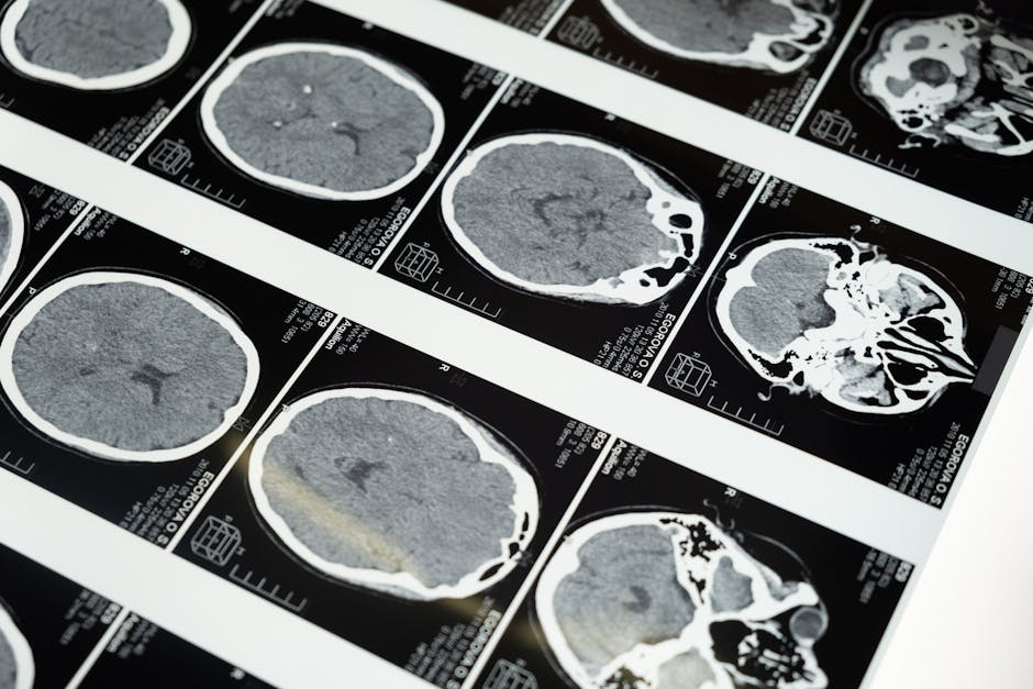 How Having a Baby Reshapes the Brain Long-Term
