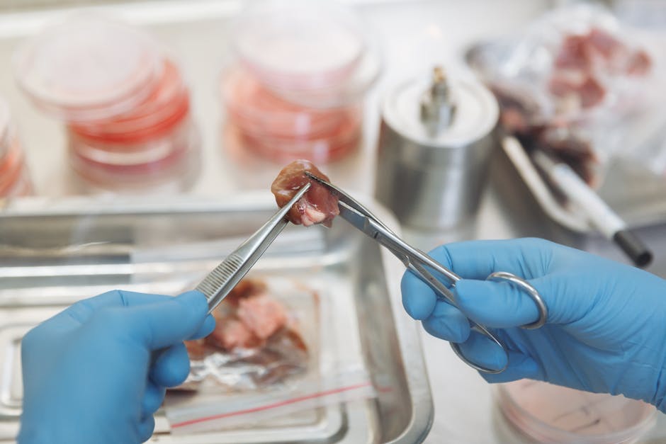How Industry Ties Skew Nutrition Science on Meat