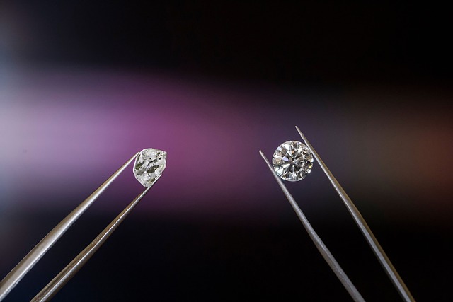How lab-grown models are changing spinal cord research