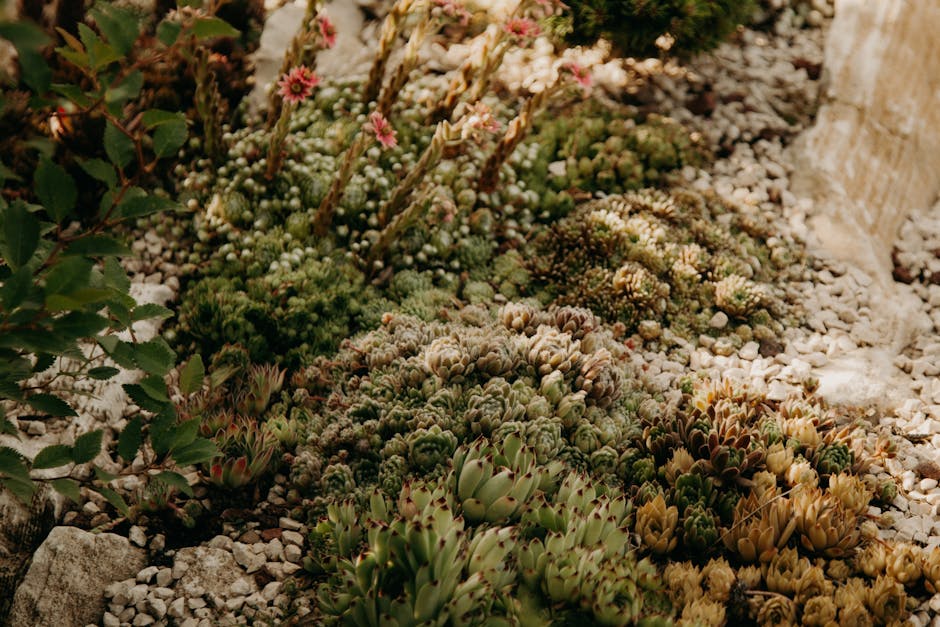 How MIT Researchers Are Revolutionizing Plant Biology