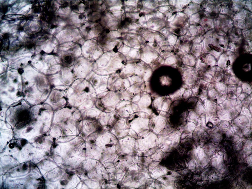 How Scientists Are Fighting Alzheimer’s with Brain Cells
