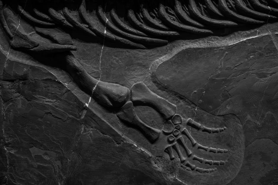How Scientists Found Ancient Proteins in Fossils