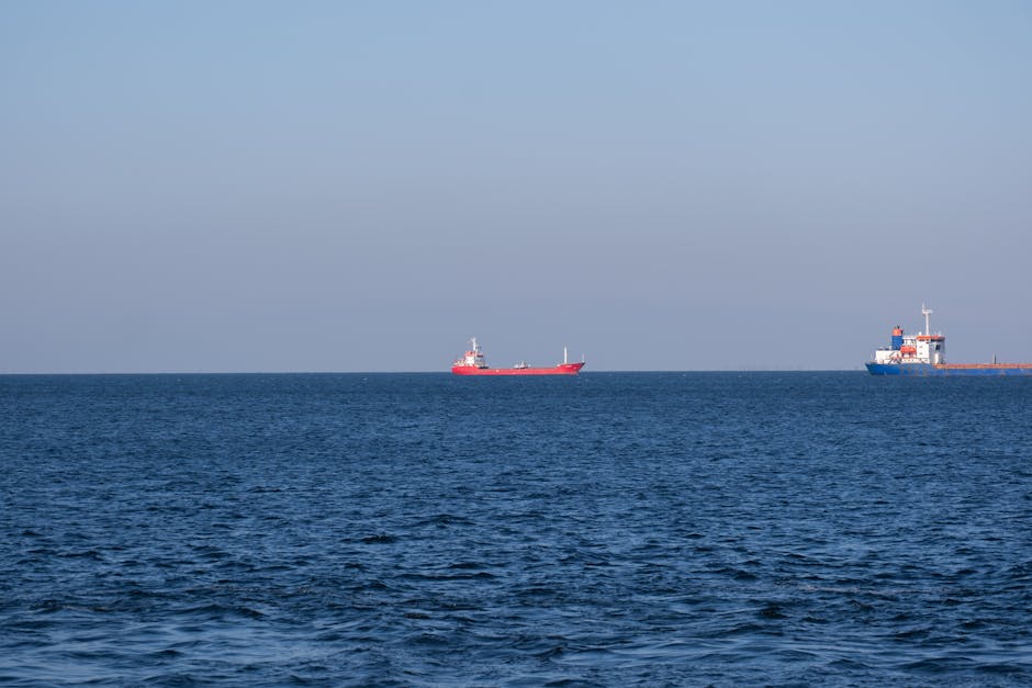 Hundreds of Ships Face Biofouling Crisis in Gulf Waters