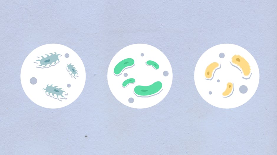 Leucine Boosts Mitochondrial Power by 40% in New Study