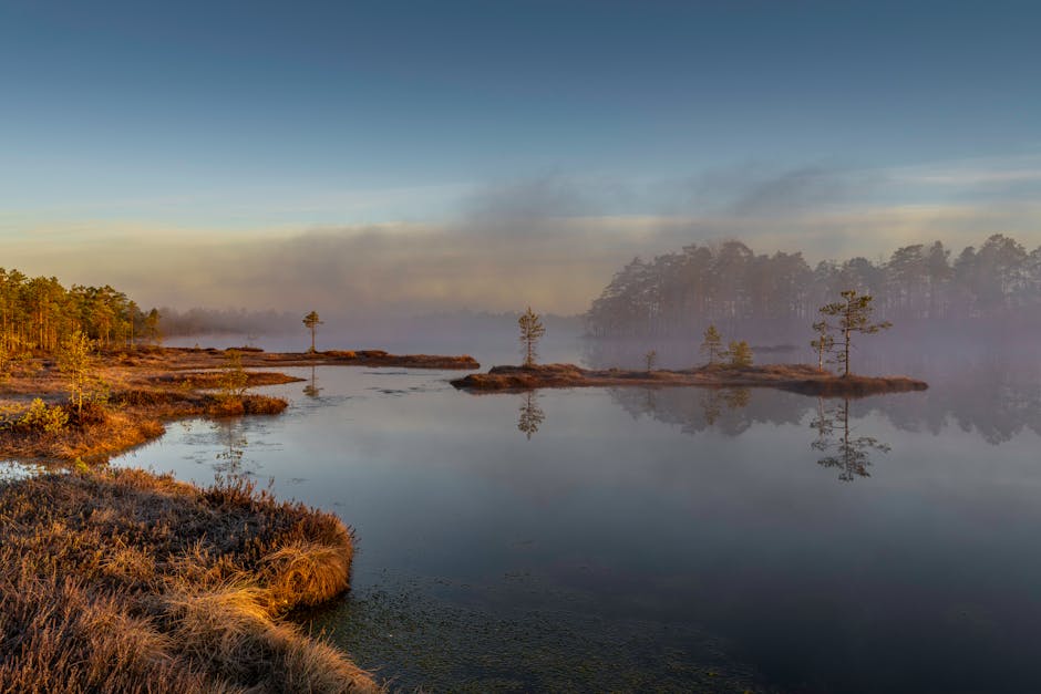 Lithuania Restores 80,000 Hectares of Peat Bogs by 2030