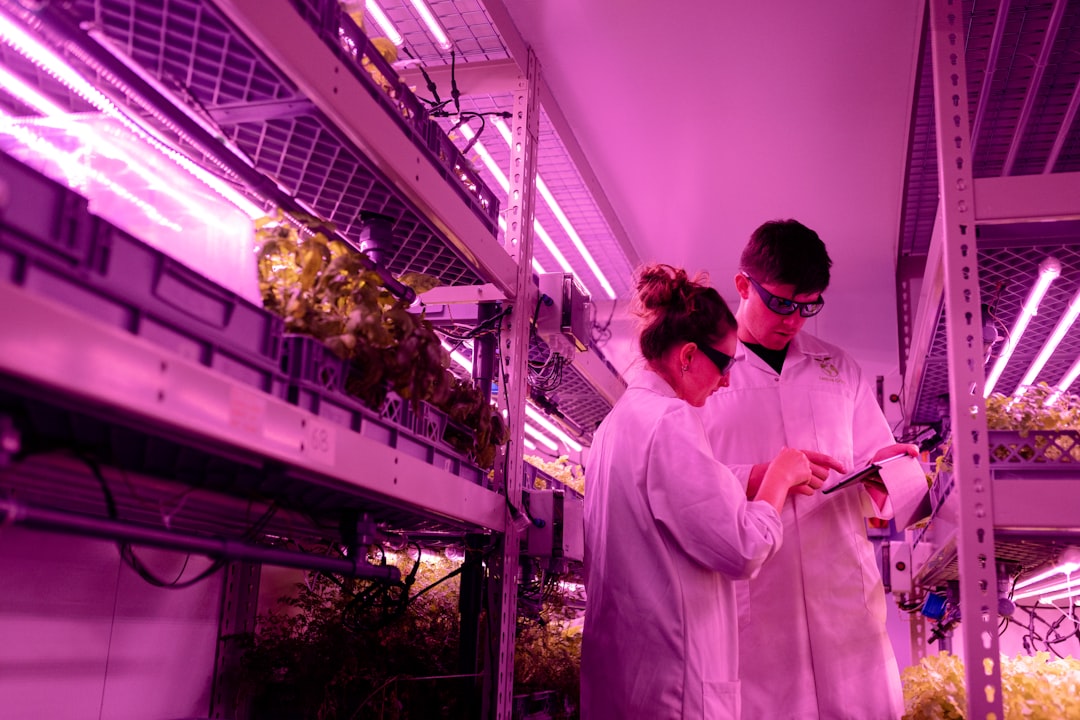 Medical Marijuana Reveals Health Benefits - VirentaNews