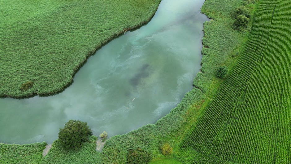 Muck Spreading Ban Fails to Protect Welsh Rivers, New Minister Says