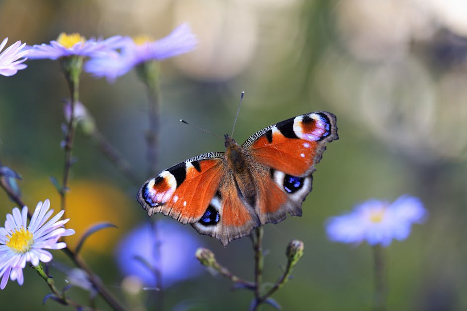 New Butterfly Attraction Opens with Over 1000 Species