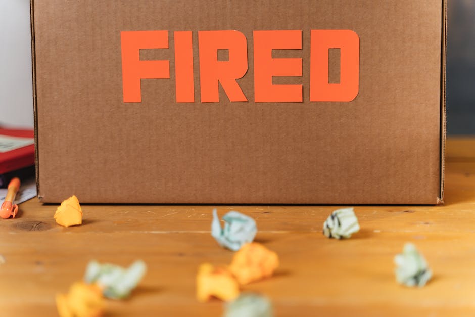 Next Boss Warns of Dramatic Fall in Entry-Level Jobs
