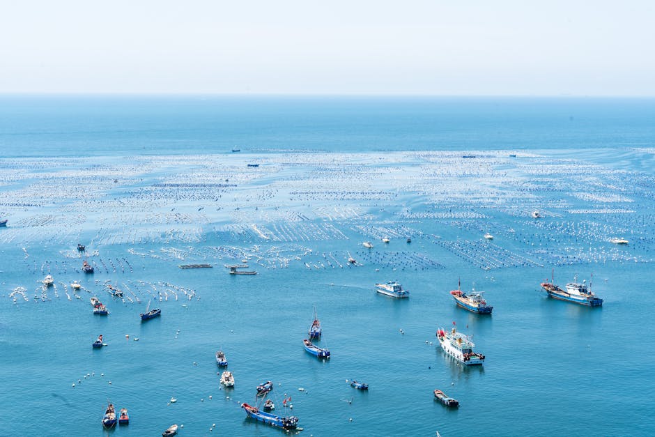 Ocean Economy Surges with 8-Figure Investments
