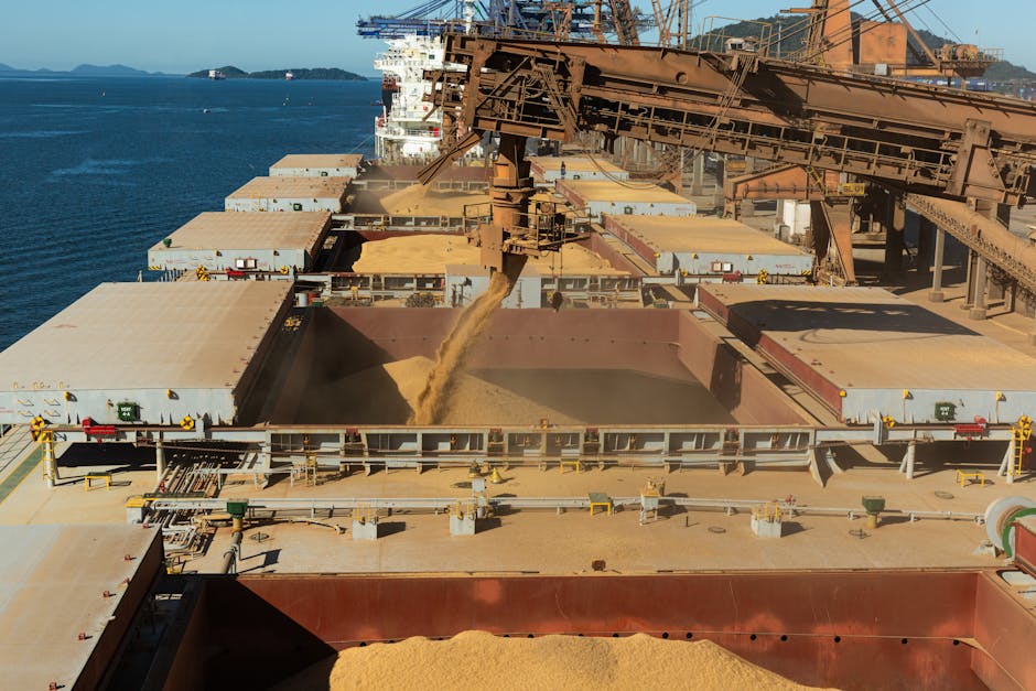 One Russian Ship Carries 30,000 Tons of Stolen Grain to Turkey