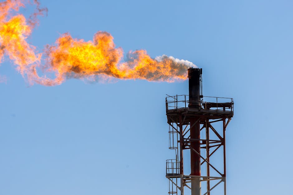 Oracle Drops Gas Plant Plan Amid Environmental Concerns