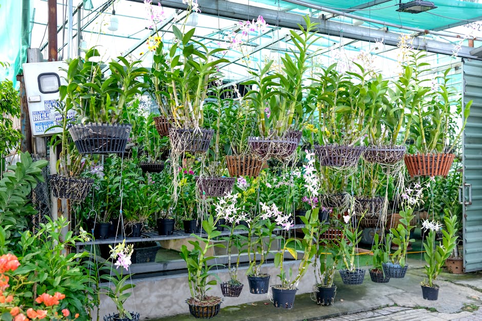 Orchid Breeding Industry Surges with High-Tech Secrets