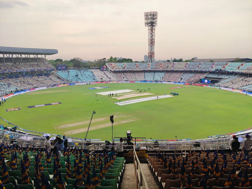Rain Halts England’s Chase at 77-3 in Final ODI Against New Zealand