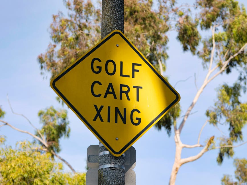 Rory McIlroy Warns LIV Golf Faces Existential Threat