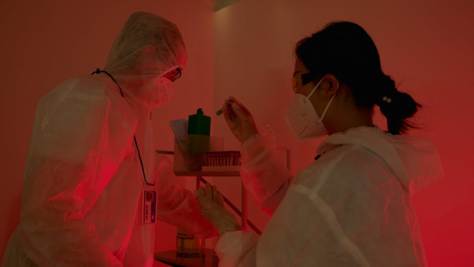 Sabiá Virus Circulation in Brazil Spans 142 Years with Ongoing Mutations