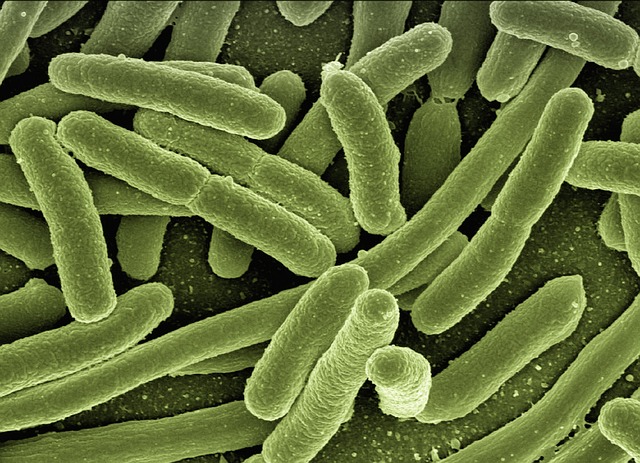 Salmonella Cases Rise 26% in England - VirentaNews