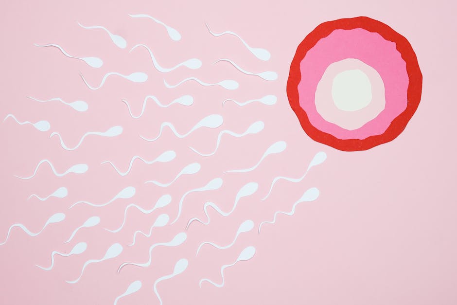 Saunas and Sperm Count: What You Need to Know