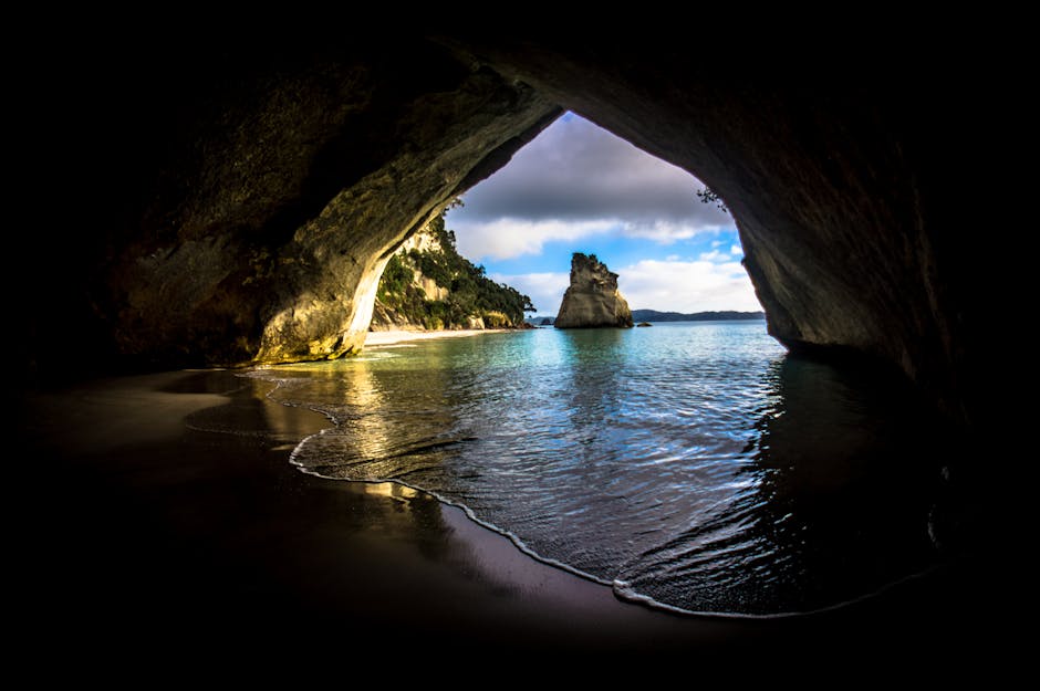 Scientists Uncover 1 Million-Year-Old Fossils of Mysterious Species in New Zealand Cave